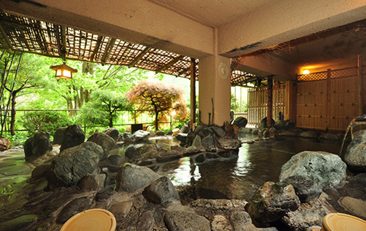 Promo 85% Off Oigami Onsen Gorokaku Japan | Hotel Register Book