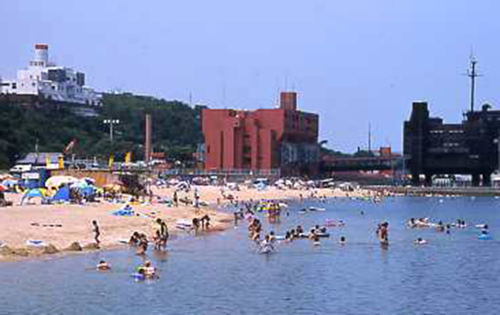 淡輪ときめきビーチ TattooFriendly